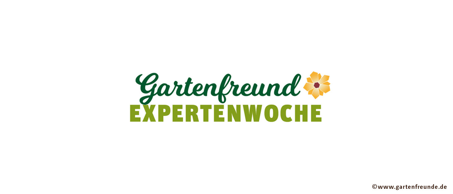 Artevos gibt exklusive Einblicke ins Unternehmen und beantwortet Fragen rund um Obstneuheiten.