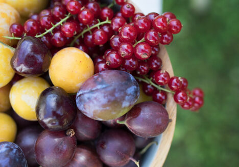 Obstsorten, Markt, Schatzkammer, Obstneuheiten, Sortenauswahl, Artevos
