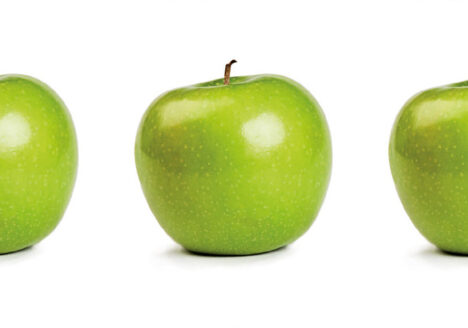 ciopora, finde den Fehler, grüne Äpfel, alle gleich, unerlaubte Vermehrung, Sortenschutz, Züchter