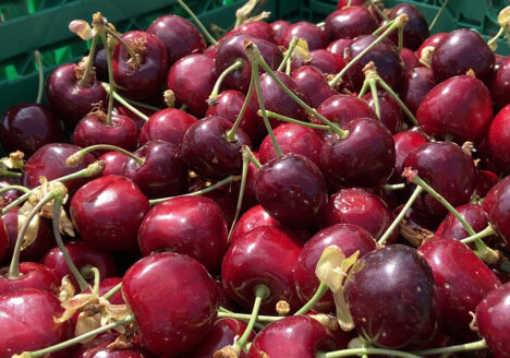 Kirschen, Kiste, Artevos, Sommer, Süßkirschen, Sauerkirschen