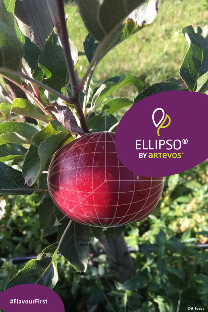 Apfel, Ellipso, Artevos, flach, dreidimensionale Ellipse