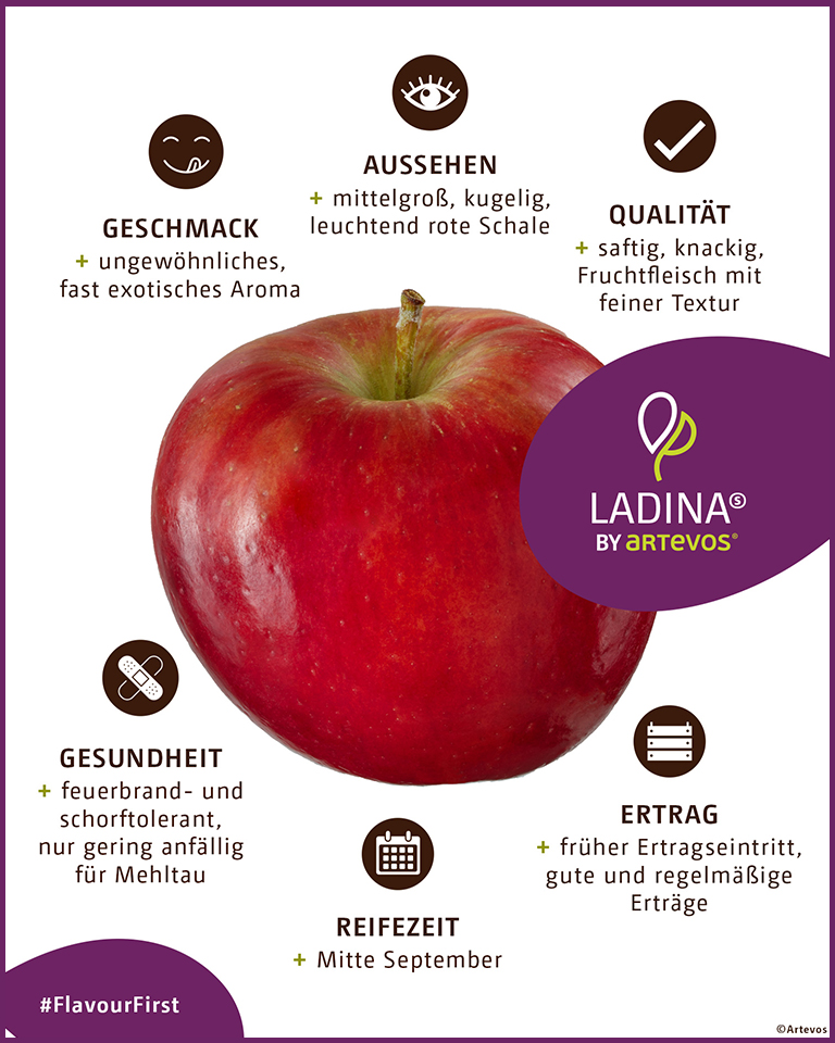Apfel Ladina, VariCom GmbH, Artevos GmbH, Schweiz, Apfelsorte