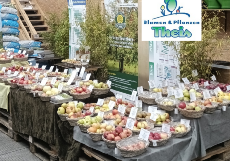 Sortencheck bei Blumen & Pflanzen Theis