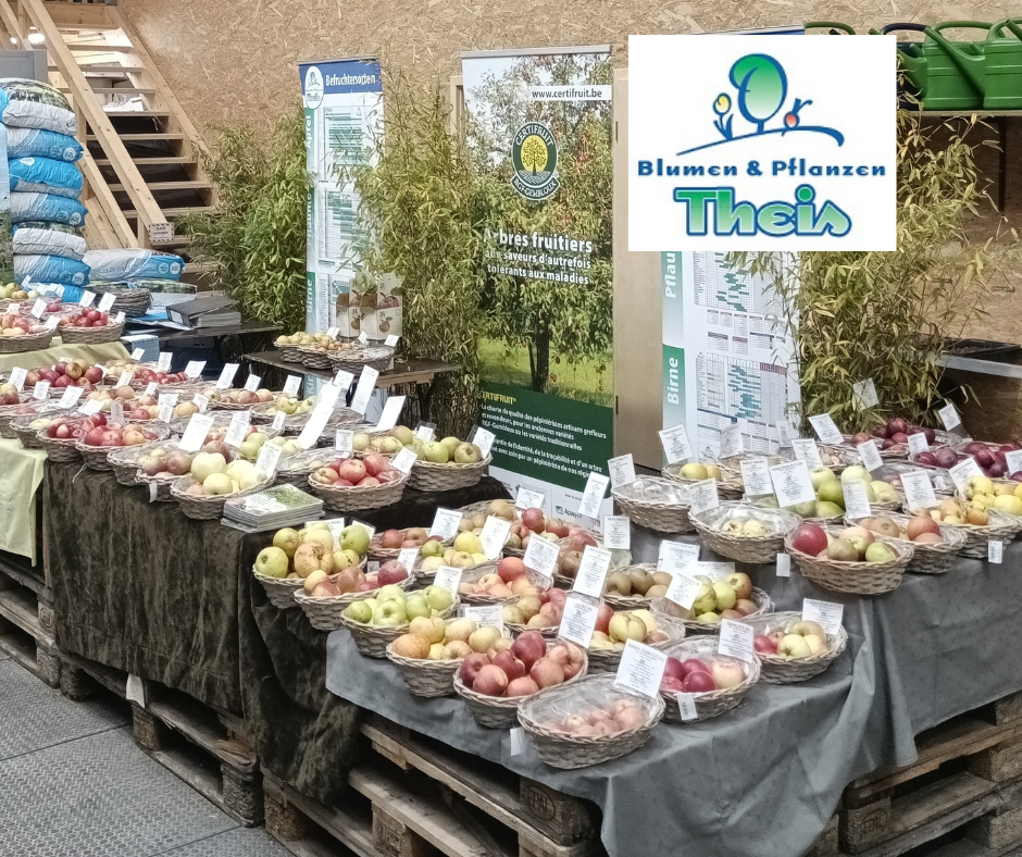 Sortencheck bei Blumen & Pflanzen Theis